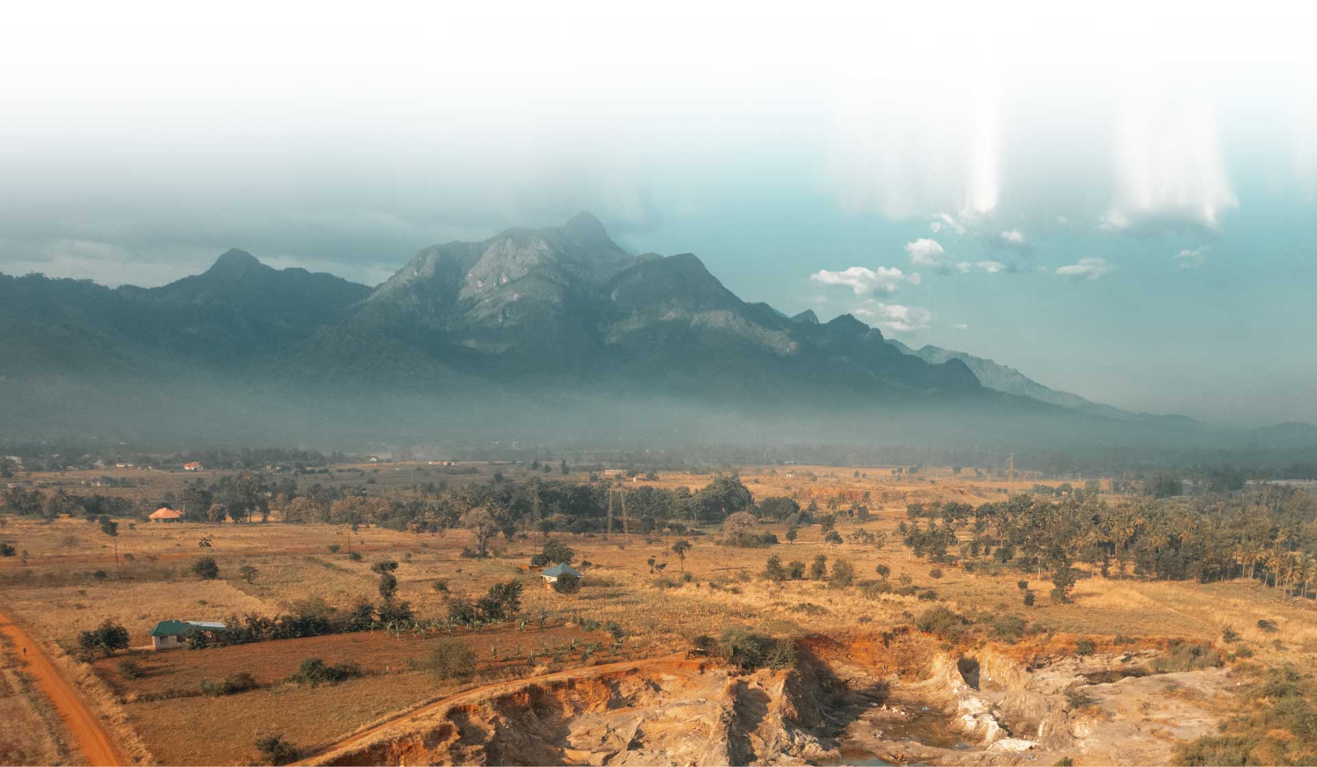 Expertise Backrgound