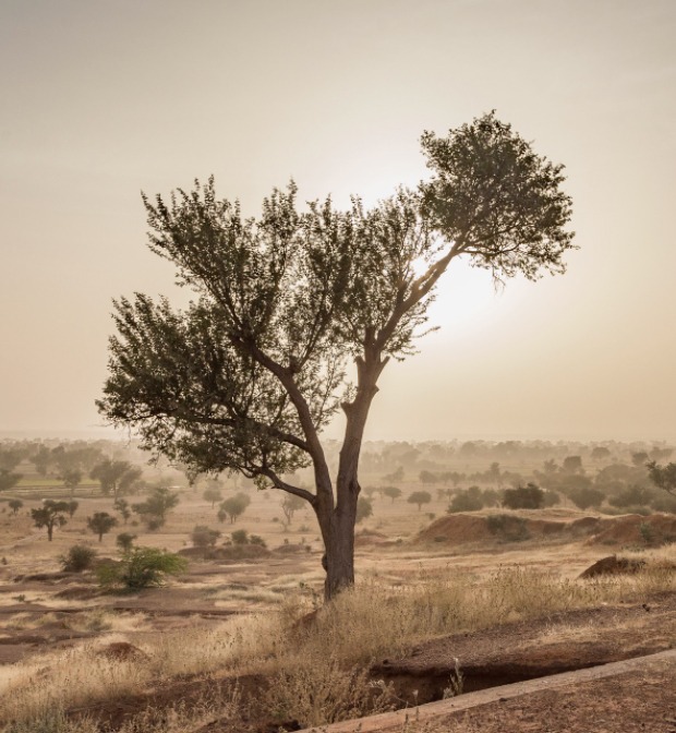 highspeed DIA Africa